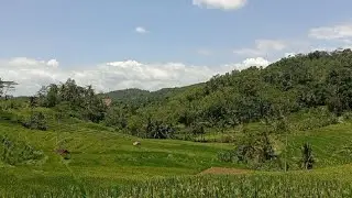 suasana pedesaan kampung indah , keindahan jalan menuju semurup bendungan Bagong Trenggalek