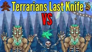 Terraria: Terrarians Last Knife VS All Bosses- Modded Bosses Included
