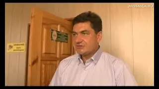 Кто должен спилить дерево у дома в 1-м переулке Маяковского?