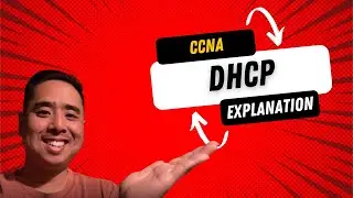 CCNA | DHCP: What is DHCP?