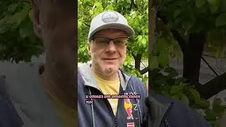 Обида Что это такое и почему возникает 