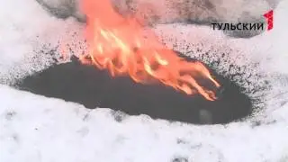 Тульскую область атакуют снежные блохи