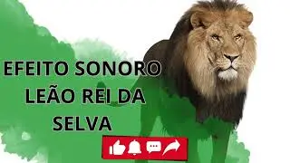EFEITO SONORO LEÃO REI DA SELVA