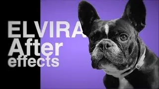 Elvira After Effects
