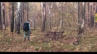 2 ГОДА ютуб-каналу | пилю БРЁВНА для КРЫШИ ЗЕМЛЯНКИ ☀ 26.09.23