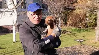 Осенняя уборка на участке