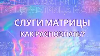Слуги матрицы. Как распознать?