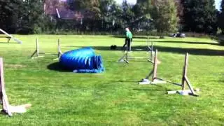 Zorro på Åsa-träning!
