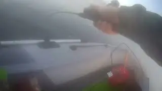 Про рыбку