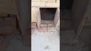 पालतू कबूतरों का घर #short