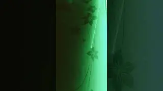 Green 😆 