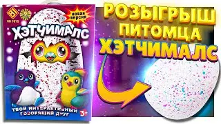 ХЕТЧИМАЛС новая версия ! РОЗЫГРЫШ ИГРУШКИ! ВЫСИЖИВАЕМ ПИТОМЦА! Распаковка и обзор! 