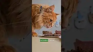 БЛП - Большие Любители Пожрать 