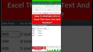 How to Multiply Cells  in Excel That Have Text and Number? I XL Expert
