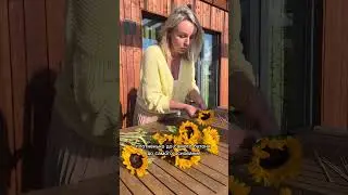 Подсолнухи в букете. Как выпрямить стебель подсолнуха для букета. Мастер класс