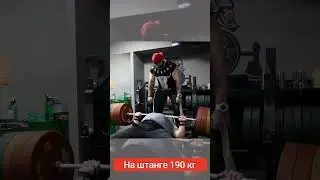 Заур Пайзулаев. Жим лежа. #armwrestling #армрестлинг