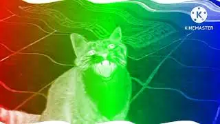 Shortest Video On Youtube Effects Effects
