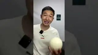 An ostrich egg! What to do with it?