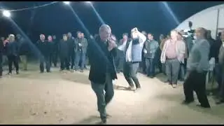 halay2