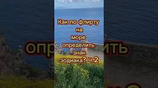 Как ОПРЕДЕЛИТЬ ПО флирту на пляже ЗНАК ЗОДИАКА. Часть 2. СТРЕЛЕЦ-РЫБЫ. #знаки_зодиака #флирт