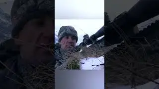 Не попал?! Охота на Дагестанского Тура (Северная Осетия) 