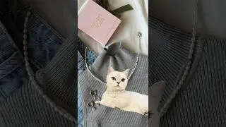 Отправь ему, напомни кто тут главная звездочка 💫