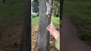 Гуляем по городу Севастополь 🐿️