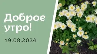 Доброе утро! 19.08.2024