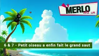 6 & 7   Petit oiseau a enfin fait le grand saut || MERLO volé wo || Régine Féline