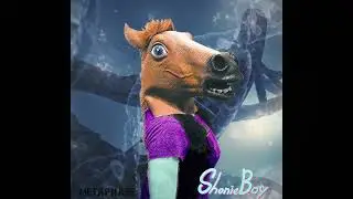 Metaphase - Tight Little Genes (Music by Shonie Boy)