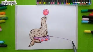 Рисуем тюленя