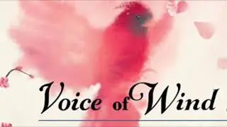 SOUNDIRON - Voice Of Wind “Adey” sound test.