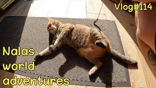 Heading to STORNOWAY 😻🏴󠁧󠁢󠁳󠁣󠁴󠁿 Vlog 