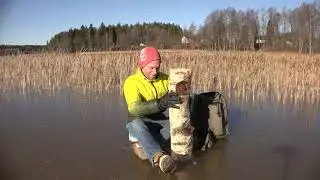 Man killed by a log meme
