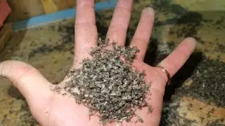 Эффективно борюсь с МУХАМИ и КОМАРАМИ на ферме!👍👍👍 FROJER