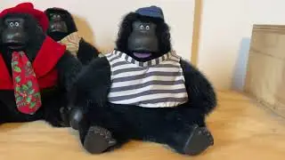 2nd Magogo Macarena Gorilla - Demo