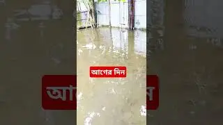 আগের দিন vs পরের দিন #fishing #বন্যা #বন্যা_পরিস্থিতি #বন্যা২০২৪ #বন্যাপরিস্থিতি #বন্যার্ত #বন্যা