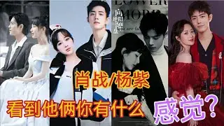 肖战 杨紫，你希不希望他俩官宣呢？