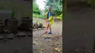 #shorts #юмор #домашнийпитомец