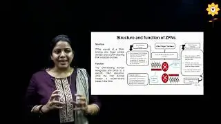 Gene Editing by Zinc Finger Nucleases | L2 | Prof. Suparna Deepak | PCACS