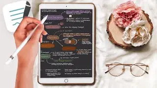 Goodnotes 5 for BEGINNERS | How to Take Notes on iPad? 📝