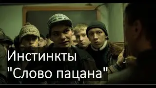 Инстинкты в "Слово пацана" | Константин Шадрин