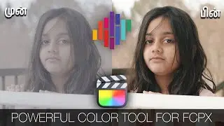 Color grading using Color Finale Pro in Final Cut Pro