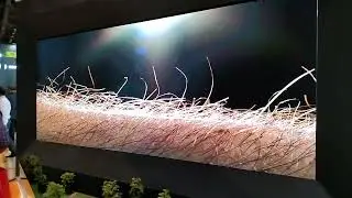Indoor & Outdoor Active LED Video Wall & Billboard with Digital Signage Software