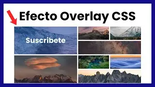 🎥 Cómo ANIMAR Imágenes con CSS (Galería CSS GRID ANIMADA)