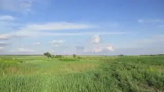Опустевшая деревня Александровка, Аткарский район.