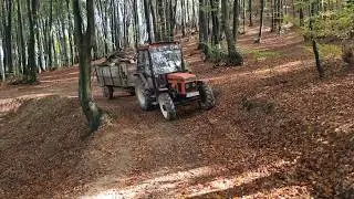 Zetor 5245 - Lagana vožnja drva & Same Argon 80 - Vađenje krompira feat. Torpedo TX 55A | 4K ASMR