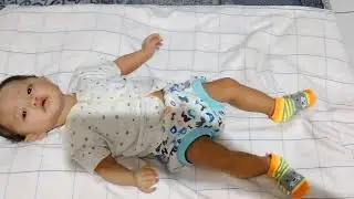 Perkutut menclok pager, adik ngentot ambune sueger. 🦸