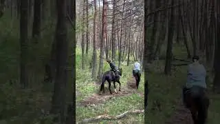 #кавказ