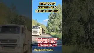3 сентября 2024 г.
